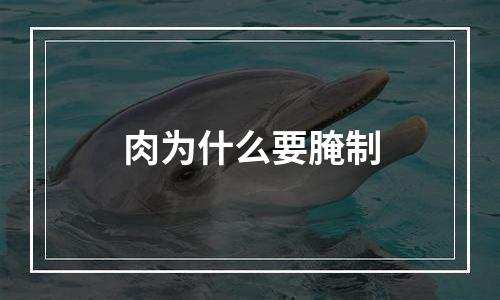 肉为什么要腌制