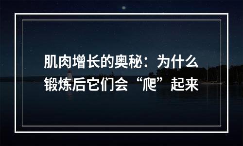 肌肉增长的奥秘：为什么锻炼后它们会“爬”起来