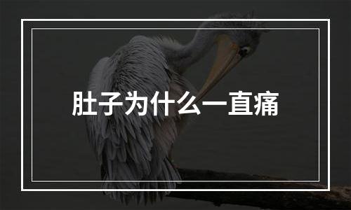 肚子为什么一直痛