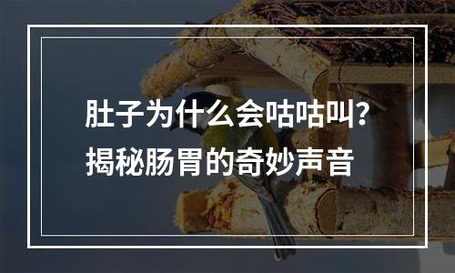 肚子为什么会咕咕叫？揭秘肠胃的奇妙声音