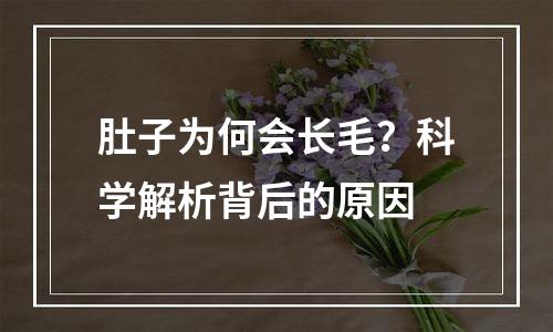 肚子为何会长毛？科学解析背后的原因