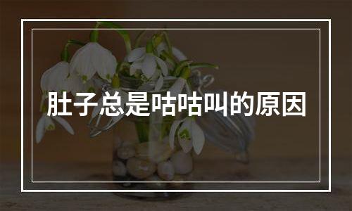 肚子总是咕咕叫的原因