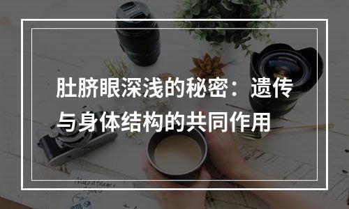肚脐眼深浅的秘密：遗传与身体结构的共同作用