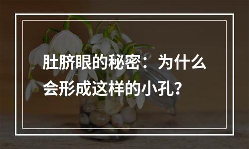 肚脐眼的秘密：为什么会形成这样的小孔？