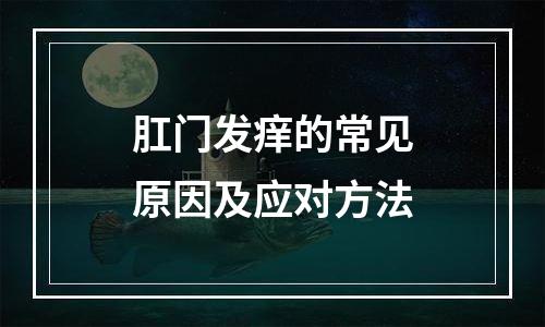 肛门发痒的常见原因及应对方法