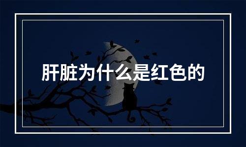 肝脏为什么是红色的