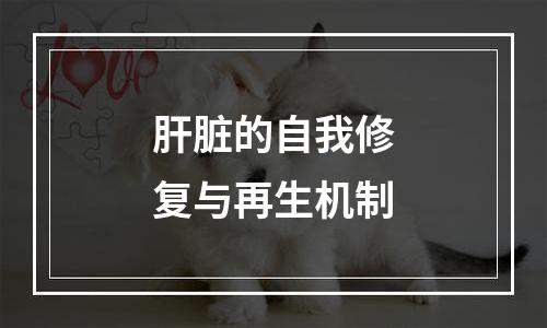 肝脏的自我修复与再生机制