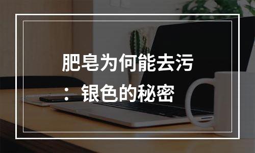 肥皂为何能去污：银色的秘密