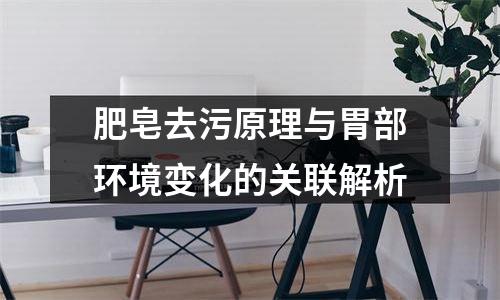 肥皂去污原理与胃部环境变化的关联解析