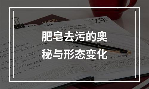 肥皂去污的奥秘与形态变化