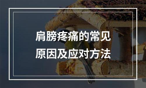 肩膀疼痛的常见原因及应对方法