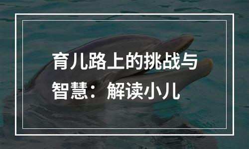 育儿路上的挑战与智慧：解读小儿