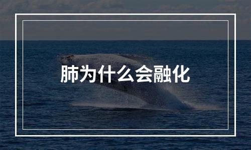 肺为什么会融化