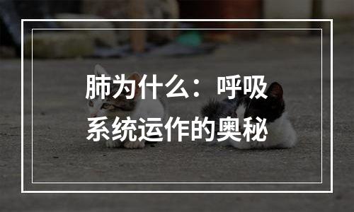 肺为什么：呼吸系统运作的奥秘