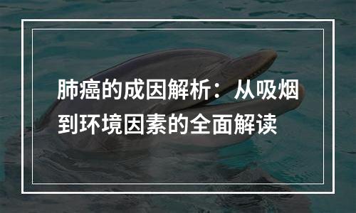 肺癌的成因解析：从吸烟到环境因素的全面解读