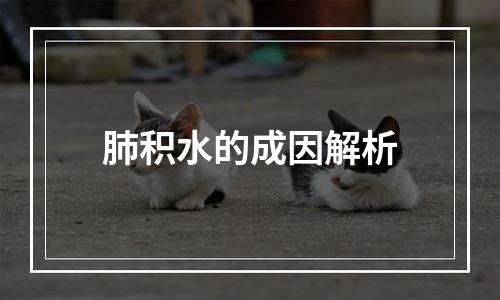 肺积水的成因解析