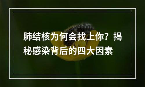 肺结核为何会找上你？揭秘感染背后的四大因素