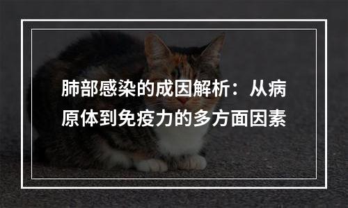肺部感染的成因解析：从病原体到免疫力的多方面因素