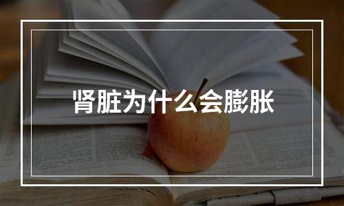 肾脏为什么会膨胀