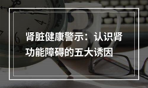 肾脏健康警示：认识肾功能障碍的五大诱因