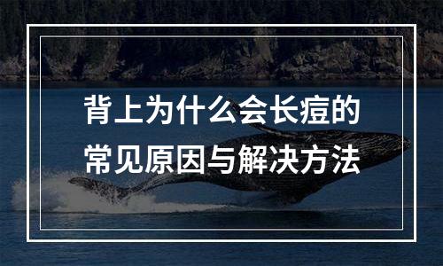 背上为什么会长痘的常见原因与解决方法