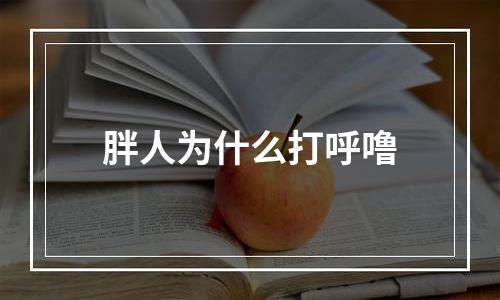 胖人为什么打呼噜