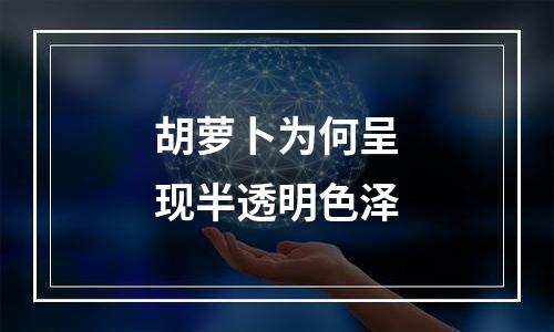 胡萝卜为何呈现半透明色泽