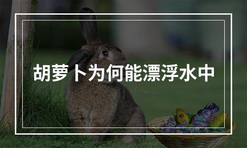 胡萝卜为何能漂浮水中