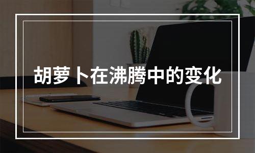 胡萝卜在沸腾中的变化