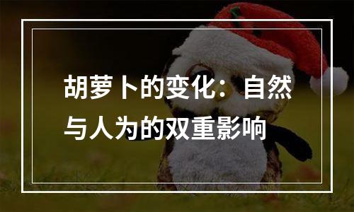 胡萝卜的变化：自然与人为的双重影响