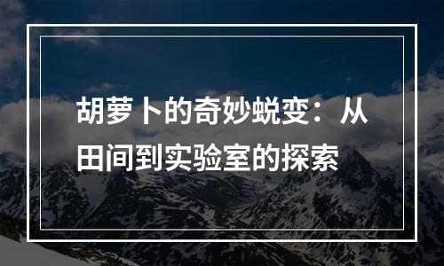 胡萝卜的奇妙蜕变：从田间到实验室的探索