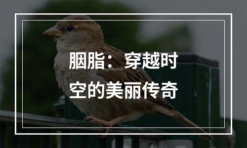 胭脂：穿越时空的美丽传奇