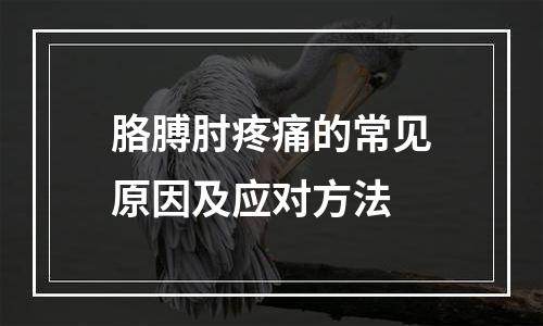 胳膊肘疼痛的常见原因及应对方法