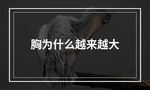 胸为什么越来越大