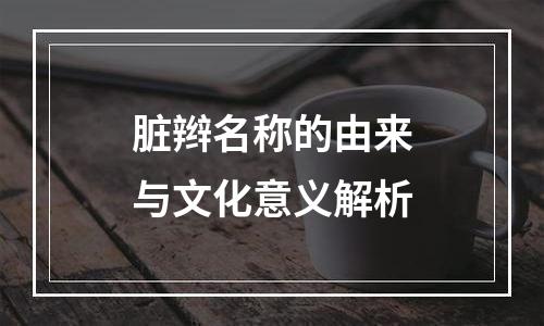 脏辫名称的由来与文化意义解析