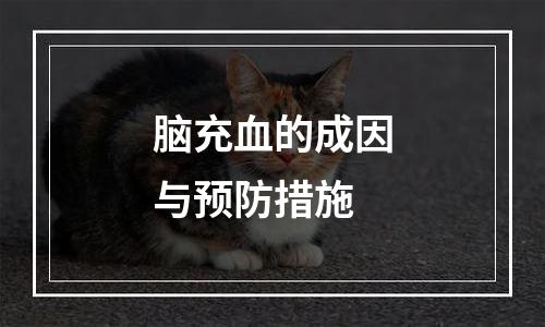 脑充血的成因与预防措施