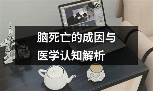 脑死亡的成因与医学认知解析