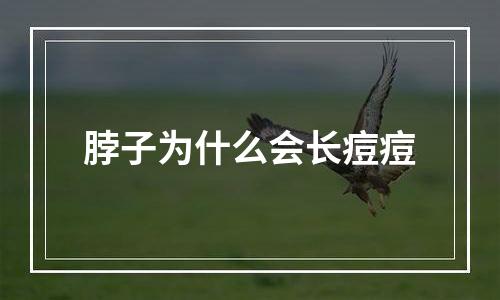 脖子为什么会长痘痘