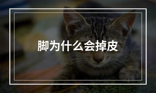 脚为什么会掉皮