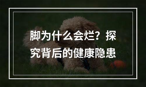 脚为什么会烂？探究背后的健康隐患