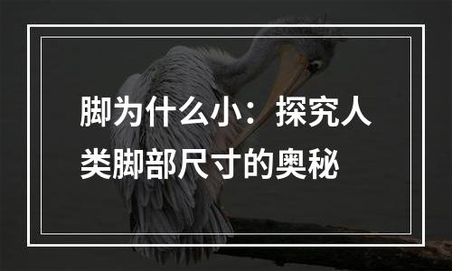 脚为什么小：探究人类脚部尺寸的奥秘