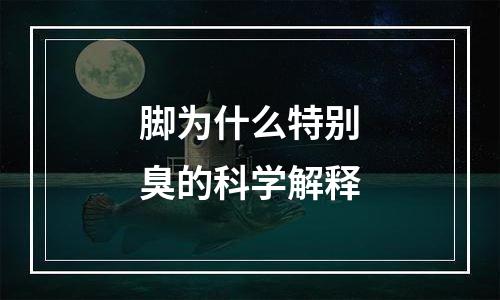 脚为什么特别臭的科学解释