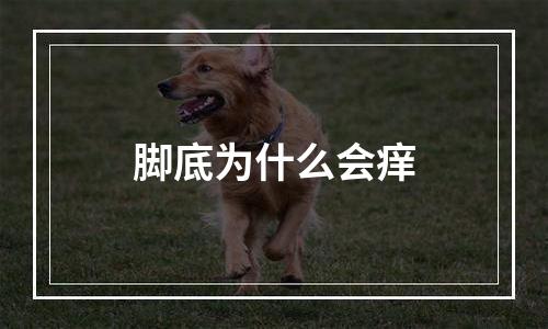 脚底为什么会痒