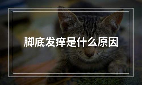 脚底发痒是什么原因