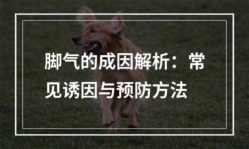脚气的成因解析：常见诱因与预防方法