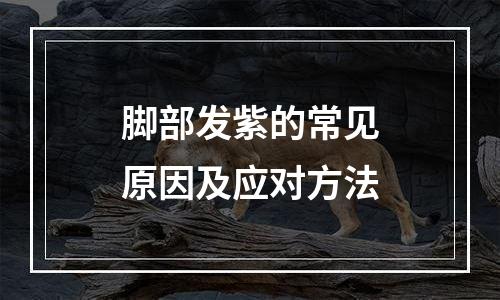 脚部发紫的常见原因及应对方法