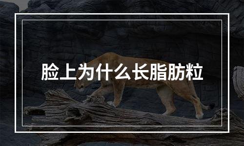 脸上为什么长脂肪粒