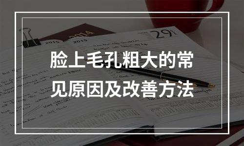 脸上毛孔粗大的常见原因及改善方法