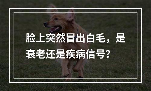 脸上突然冒出白毛，是衰老还是疾病信号？