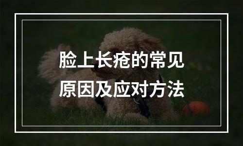 脸上长疮的常见原因及应对方法